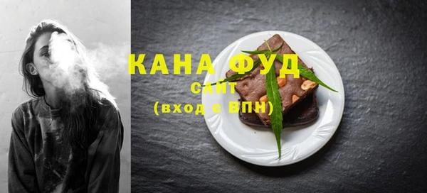 гидра Богородицк