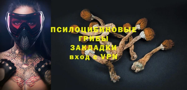 гидра Богородицк
