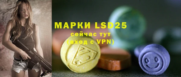 гидра Богородицк