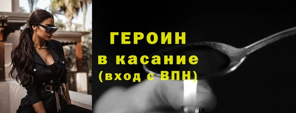 гидра Богородицк