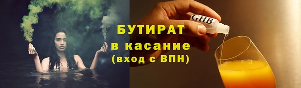 гидра Богородицк