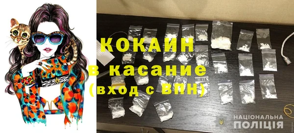 гидра Богородицк