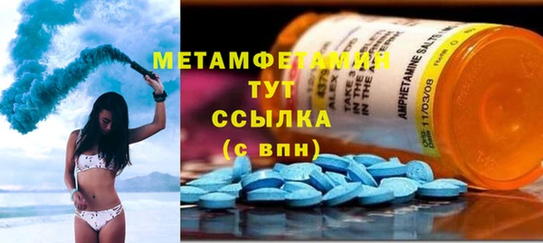 гидра Богородицк