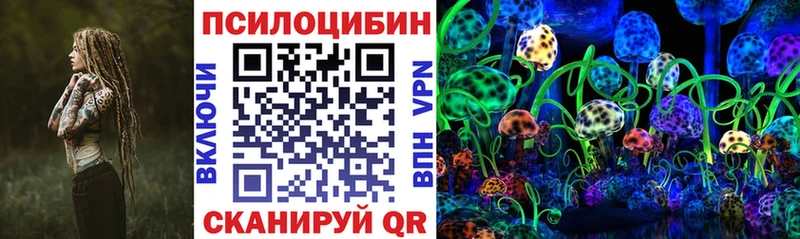 omg   Мценск  Псилоцибиновые грибы мухоморы 
